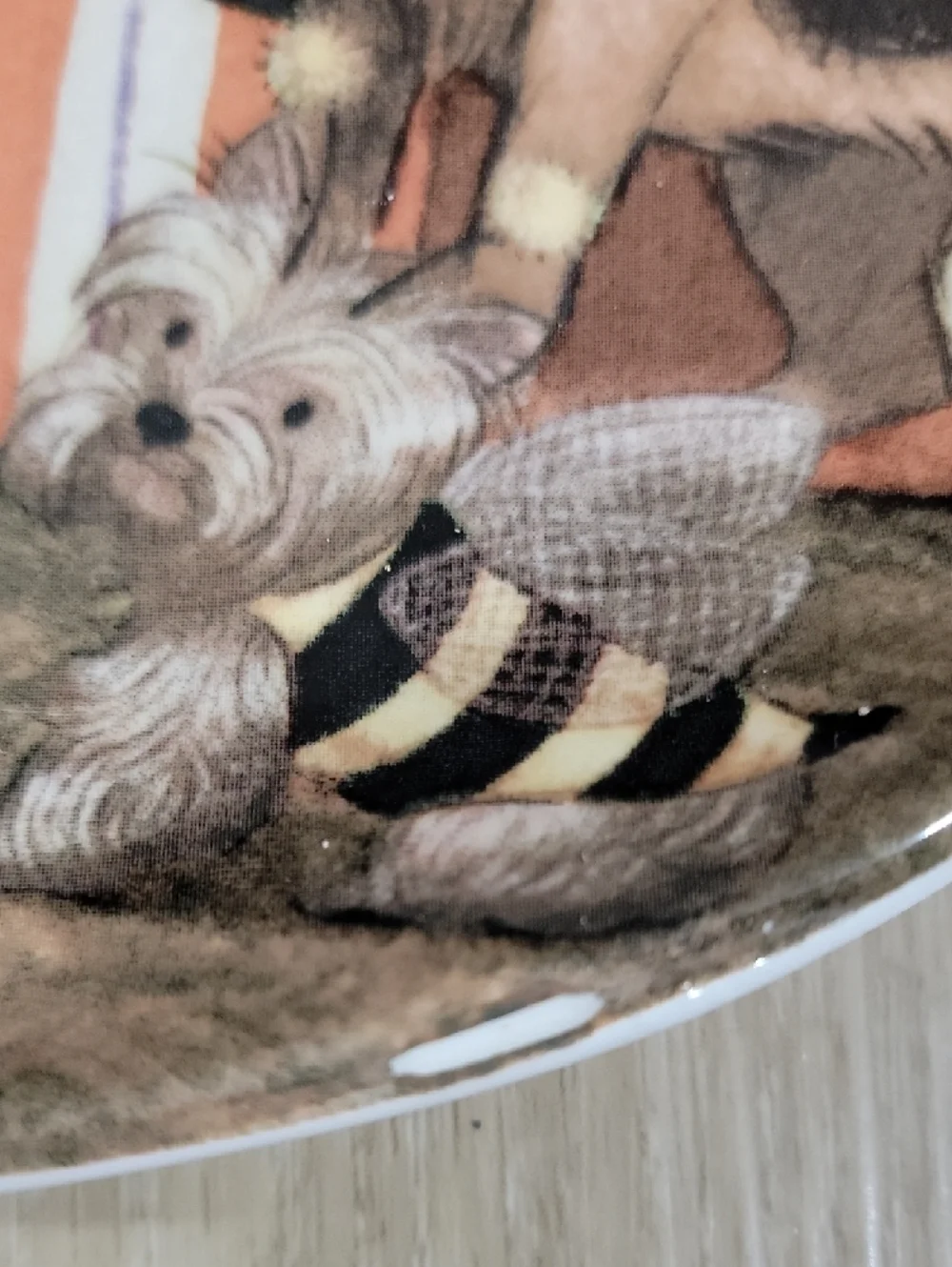Pier 1 Dogs In Costumes At Midnight White Ironstone Plate Backstamp Set Of 4